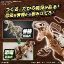 DINOSAUR - New Dinosaur Plastic Tyrannosaurus (Tentative) - Model Kit 