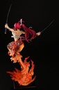 FAIRY TAIL -Erza Scarlet Samurai Ver. Kurenai -Statuette OrcaToys 43cm