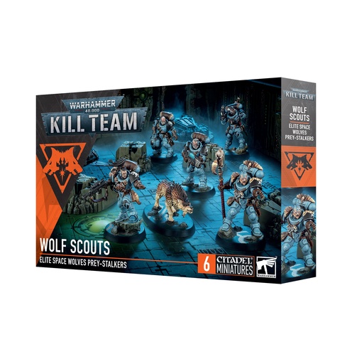 [102-11] KILL TEAM DE SCOUTS SPACE WOLVES 